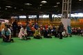 Crufts2010 760
